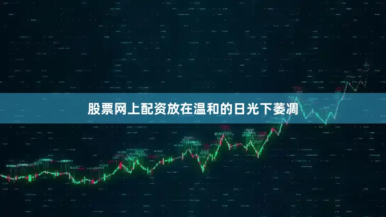 股票网上配资放在温和的日光下萎凋