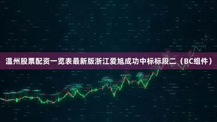 温州股票配资一览表最新版浙江爱旭成功中标标段二（BC组件）