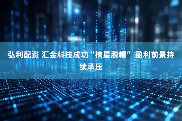弘利配资 汇金科技成功“摘星脱帽” 盈利前景持续承压