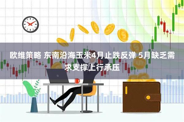 欧维策略 东南沿海玉米4月止跌反弹 5月缺乏需求支撑上行承压