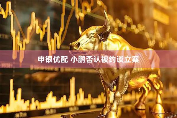 申银优配 小鹏否认被约谈立案