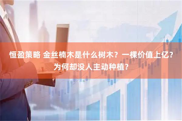 恒盈策略 金丝楠木是什么树木？一棵价值上亿？为何却没人主动种植？