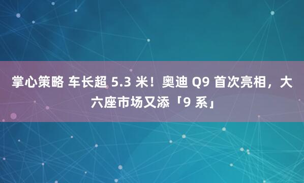 掌心策略 车长超 5.3 米！奥迪 Q9 首次亮相，大六座市场又添「9 系」