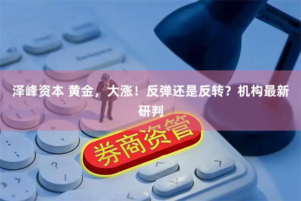 泽峰资本 黄金，大涨！反弹还是反转？机构最新研判
